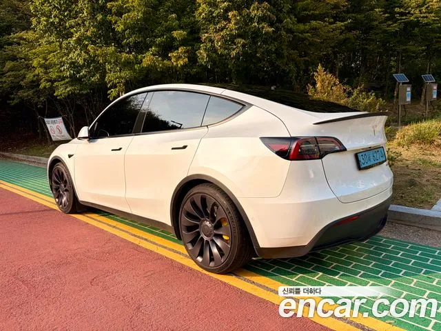 Tesla Model Y — Фото автомобиля 2
