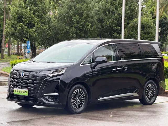 Фотография автомобиля — Denza D9
