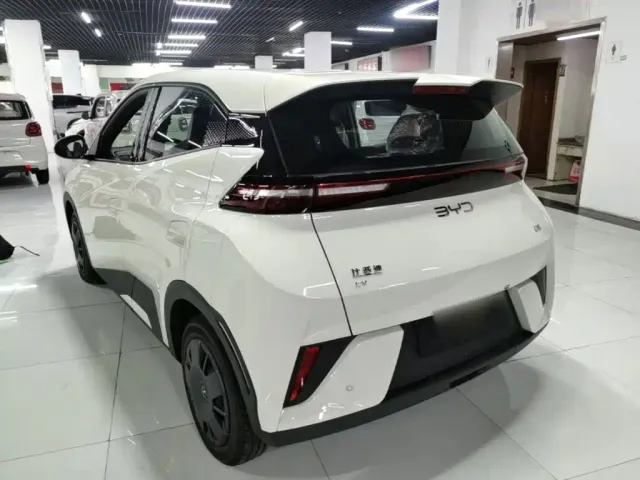 BYD Seagull — Фото автомобиля 4