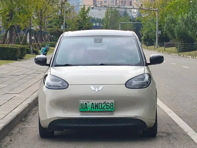 Wuling Motors Wuling Bingo 2023 Model 333km Joy+ Version — Фото автомобиля 2