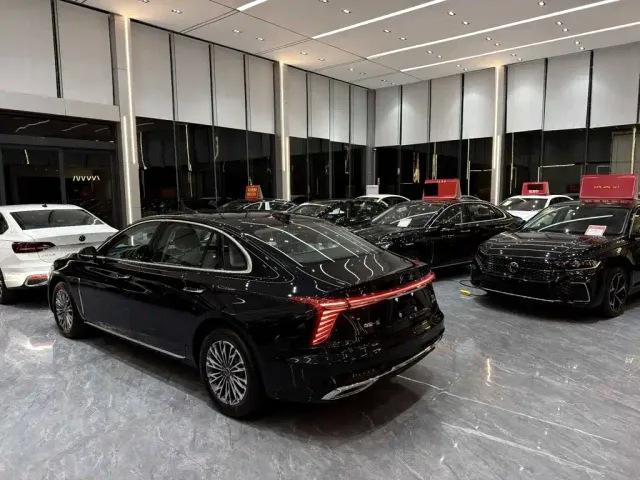 Hongqi H5 — Фото автомобиля 17