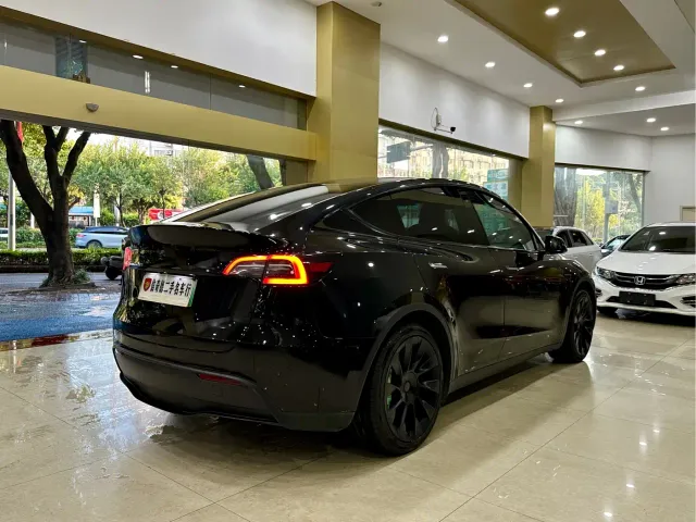 Tesla Model Y — Фото автомобиля 3