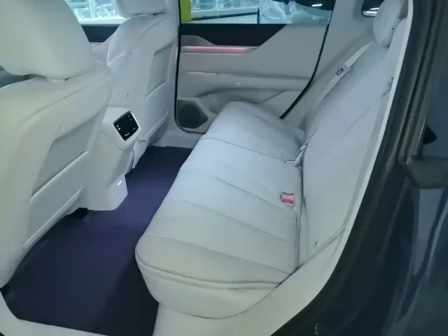 Buick Electra L7 — Фото автомобиля 16
