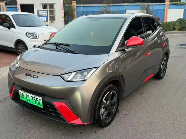 Фотография автомобиля — BYD Seagull