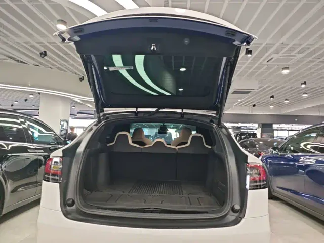 Tesla Model X — Фото автомобиля 14