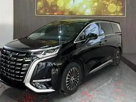 Фотография автомобиля — Denza D9
