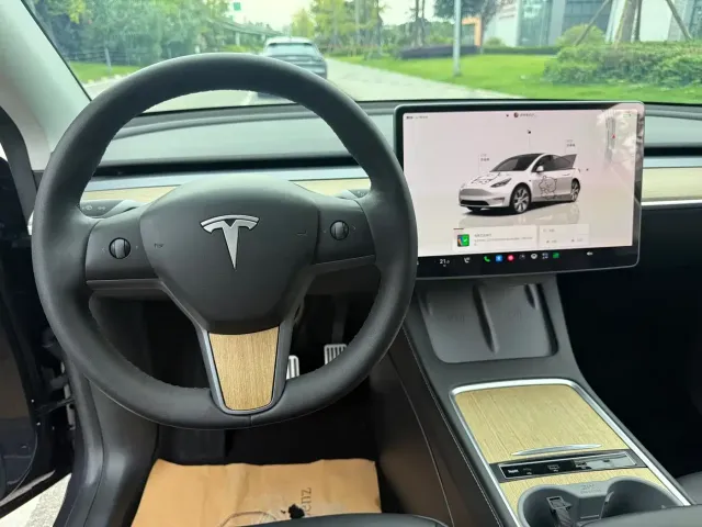 Tesla Model Y — Фото автомобиля 6