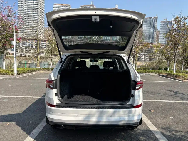 Skoda Kodiaq — Фото автомобиля 15