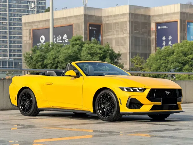 Ford Mustang — Фото автомобиля 7
