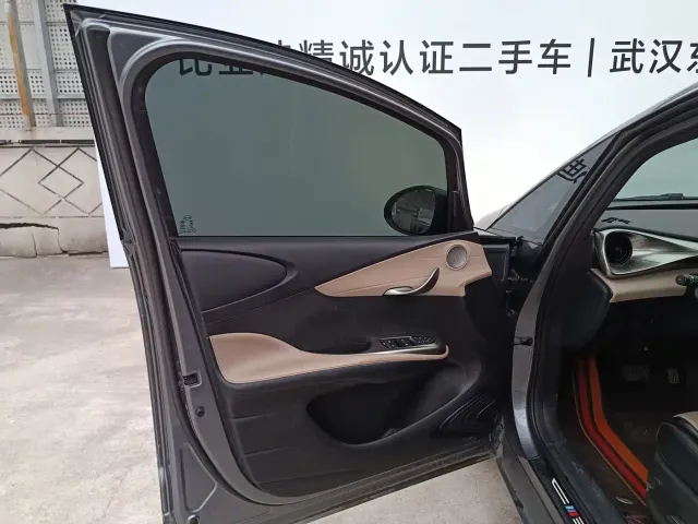 BYD Dolphin — Фото автомобиля 10
