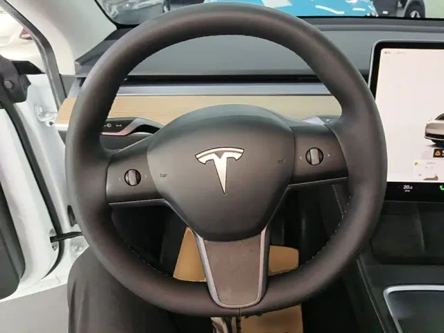 Tesla Model Y — Фото автомобиля 10