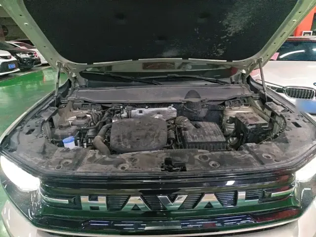 Haval Big Dog — Фото автомобиля 19