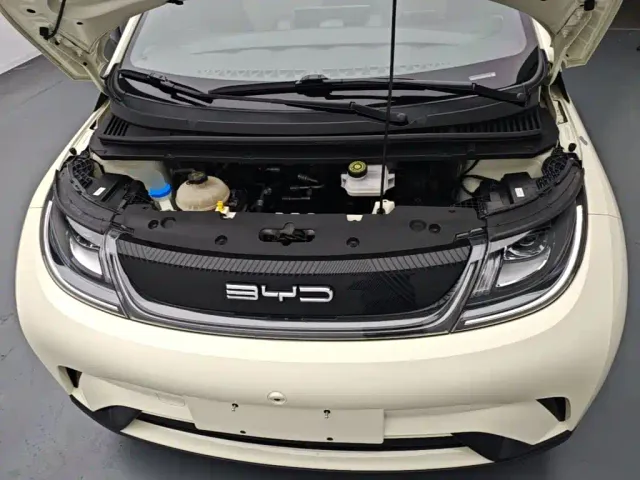 BYD Dolphin — Фото автомобиля 19