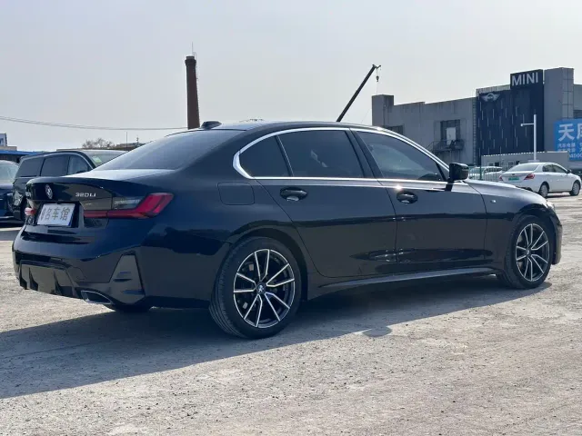 BMW 3 Series — Фото автомобиля 8