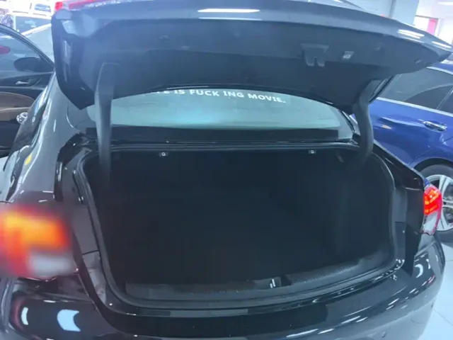 Buick Regal — Фото автомобиля 18