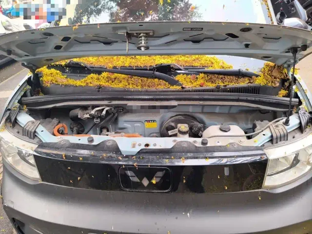 Wuling Hongguang Mini EV — Фото автомобиля 21