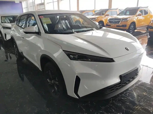 Dongfeng SKY EV01 — Фото автомобиля 3