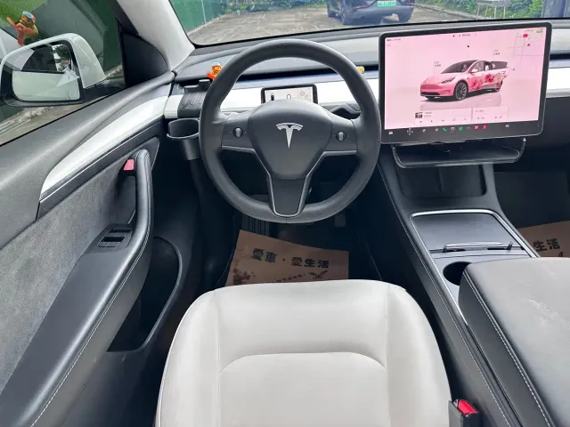 Tesla Model Y — Фото автомобиля 19