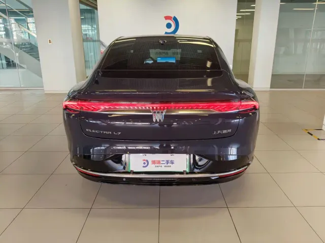 Buick Electra L7 — Фото автомобиля 26