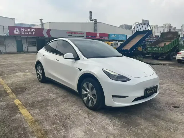 Tesla Model Y — Фото автомобиля 3