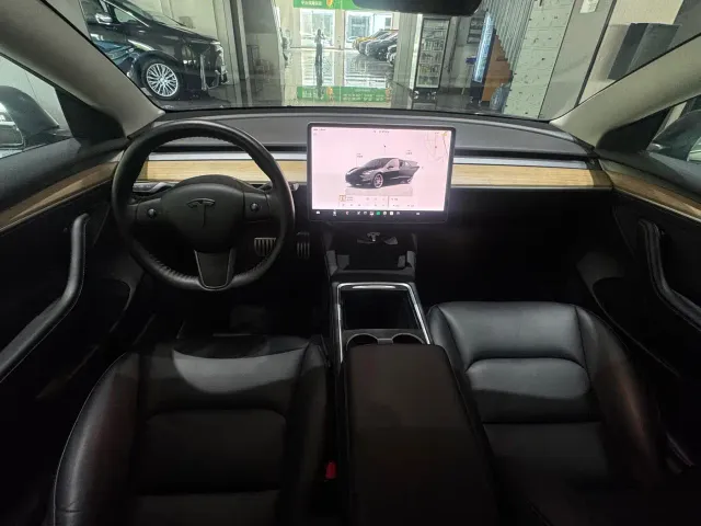 Tesla Model 3 2022 Performance High-Performance AWD — Фото автомобиля 8