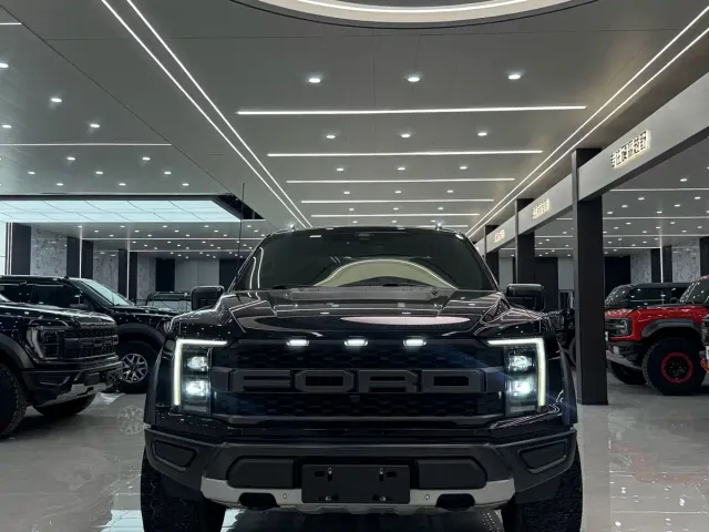 Ford F-150 Raptor — Фото автомобиля 2