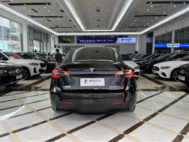Tesla Model Y — Фото автомобиля 14