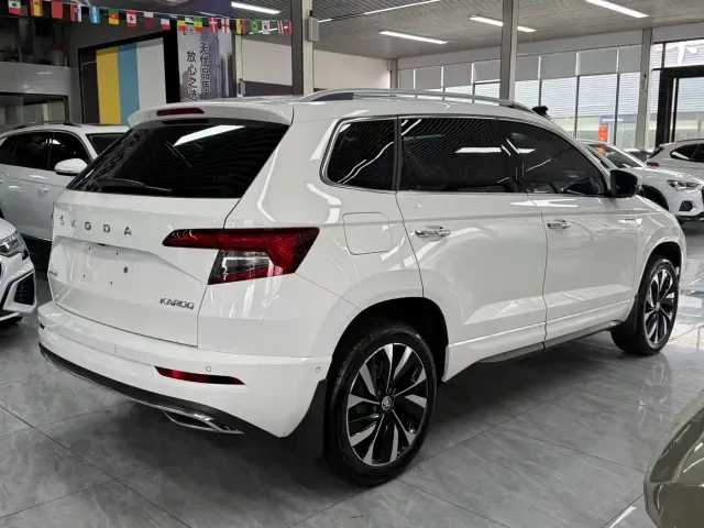 Skoda Karoq — Фото автомобиля 12