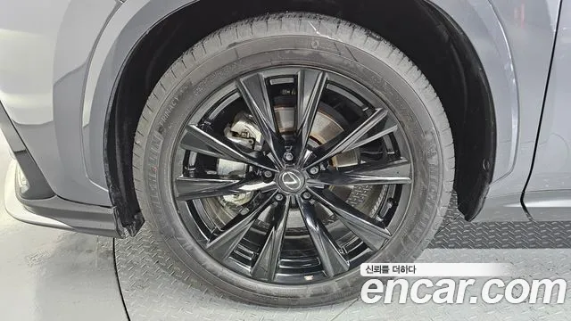 Lexus NX NX450h+ 2nd Gen — Фото автомобиля 5