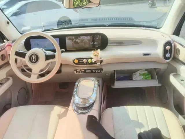 Ora Ora Ballet Cat 2022 401km Nutcracker Edition — Фото автомобиля 12