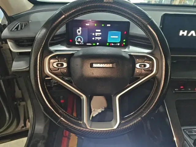 Haval Haval H6 New Energy 2023 DHT-PHEV 55KM Joy Ride Edition — Фото автомобиля 10
