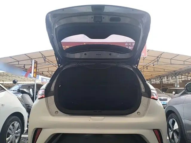 BYD Dolphin — Фото автомобиля 18