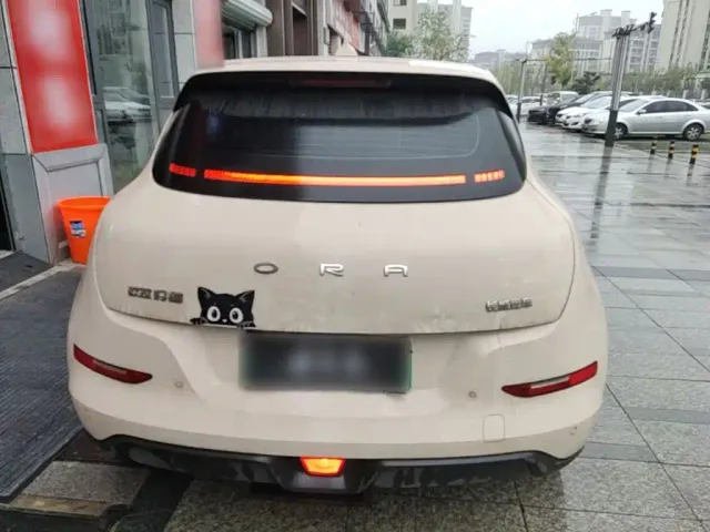 Ora Good Cat — Фото автомобиля 5