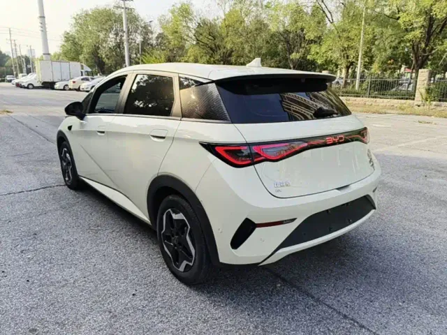 BYD Dolphin — Фото автомобиля 4