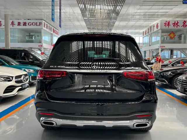 Mercedes-Benz GLS-Class — Фото автомобиля 12