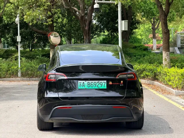 Tesla Model Y — Фото автомобиля 7