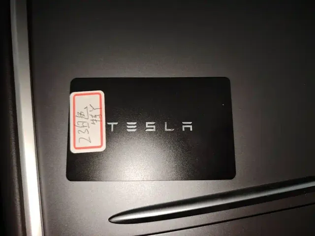 Tesla Model Y — Фото автомобиля 19