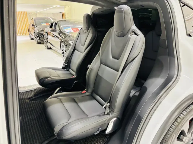 Tesla Model X — Фото автомобиля 23