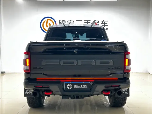 Ford F-150 Raptor — Фото автомобиля 27