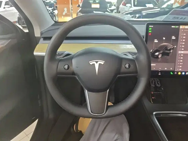 Tesla Model Y — Фото автомобиля 10