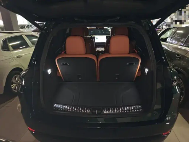 Li Auto L9 — Фото автомобиля 18