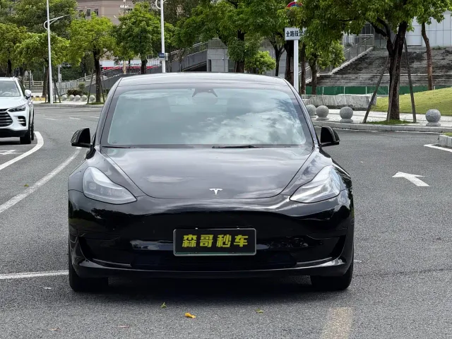 Tesla Model 3 — Фото автомобиля 2
