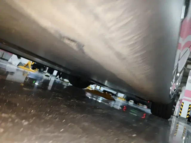 Tesla Model Y — Фото автомобиля 18