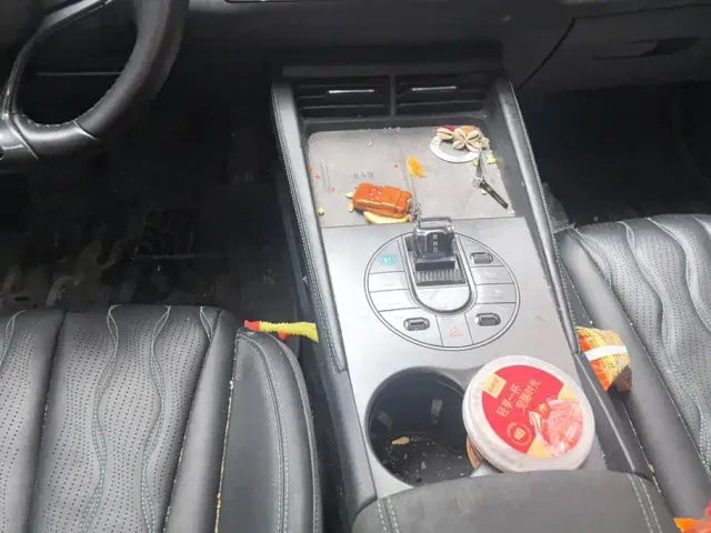 BYD Seal 06 New Energy 2024 DM-i 120KM Flagship — Фото автомобиля 16