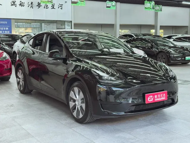 Tesla Model Y — Фото автомобиля 3