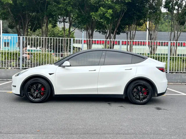 Tesla Model Y 2021 Standard Range Rear-Wheel Drive — Фото автомобиля 4
