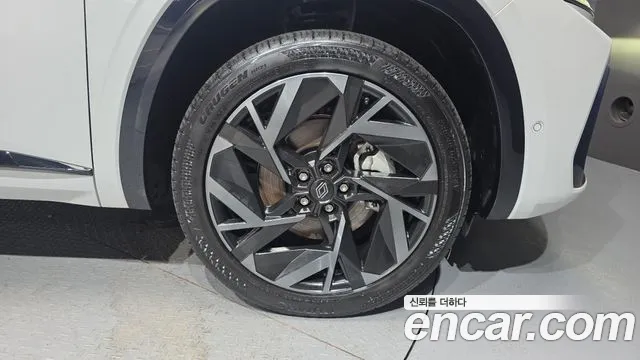Renault-KoreaSamsung Grand Koleos Grand Koleos — Фото автомобиля 13