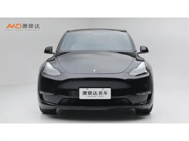 Tesla Model Y — Фото автомобиля 2