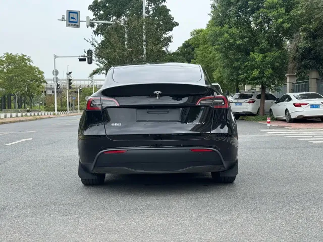Tesla Model Y — Фото автомобиля 13