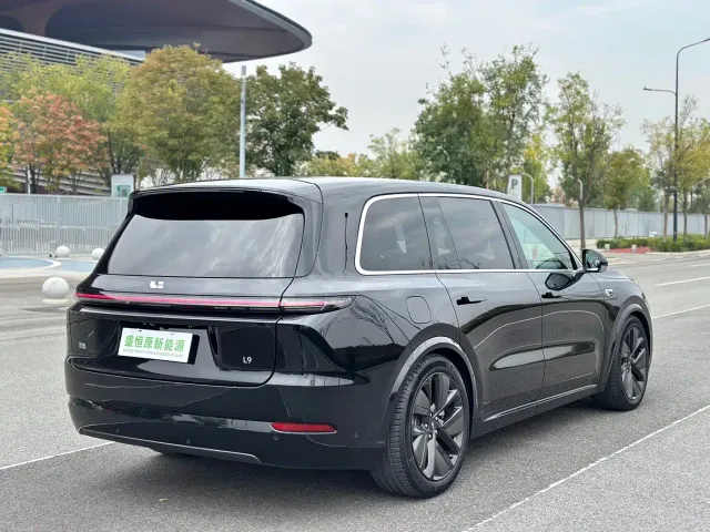 Li Auto L9 — Фото автомобиля 17